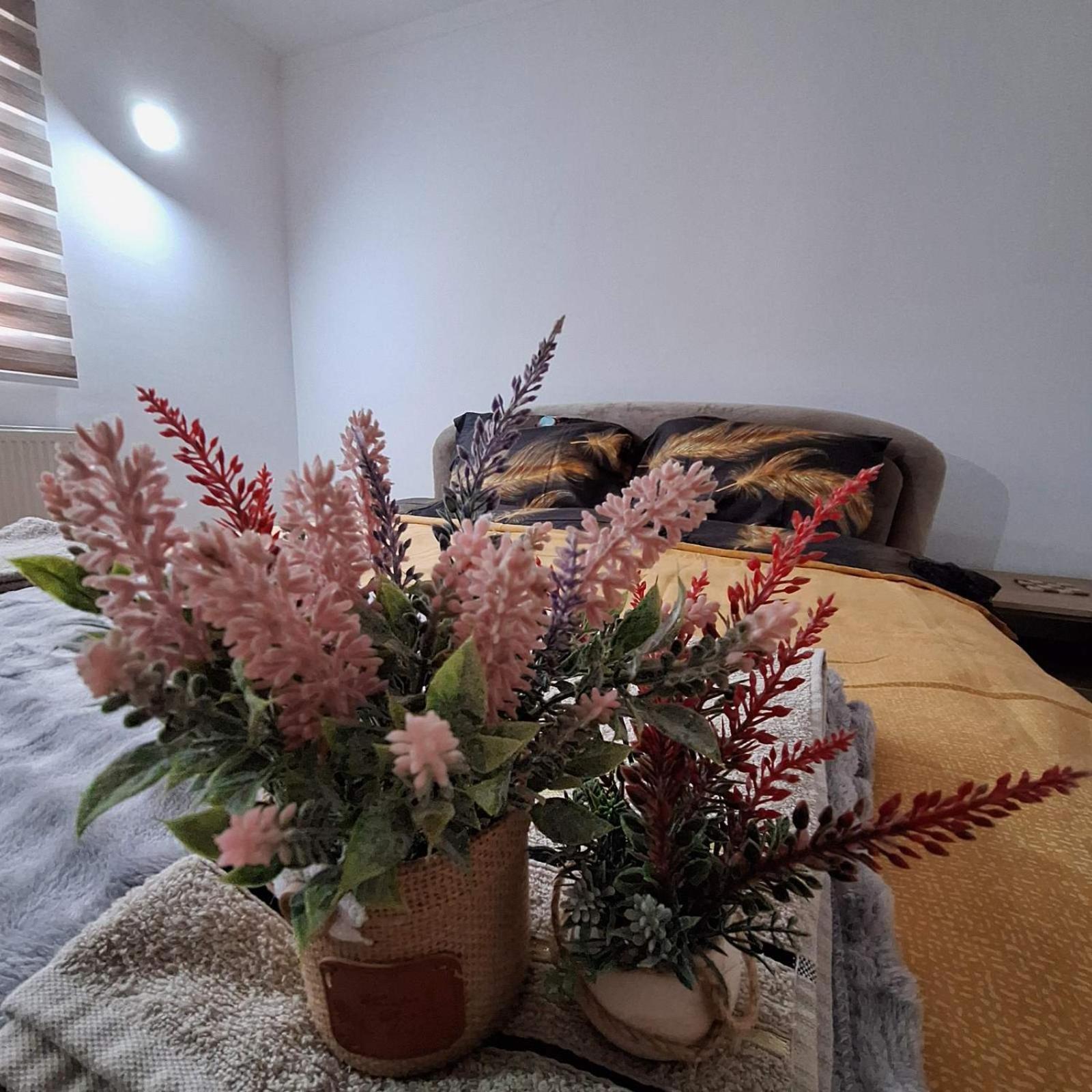 Apartment "Mira" Foca Ngoại thất bức ảnh